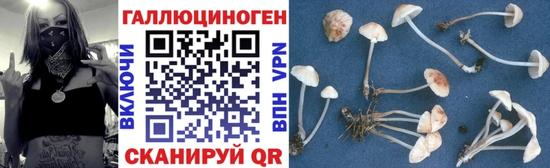 Псилоцибиновые грибы Magic Shrooms  даркнет сайт  маркетплейс клад  Жердевка 